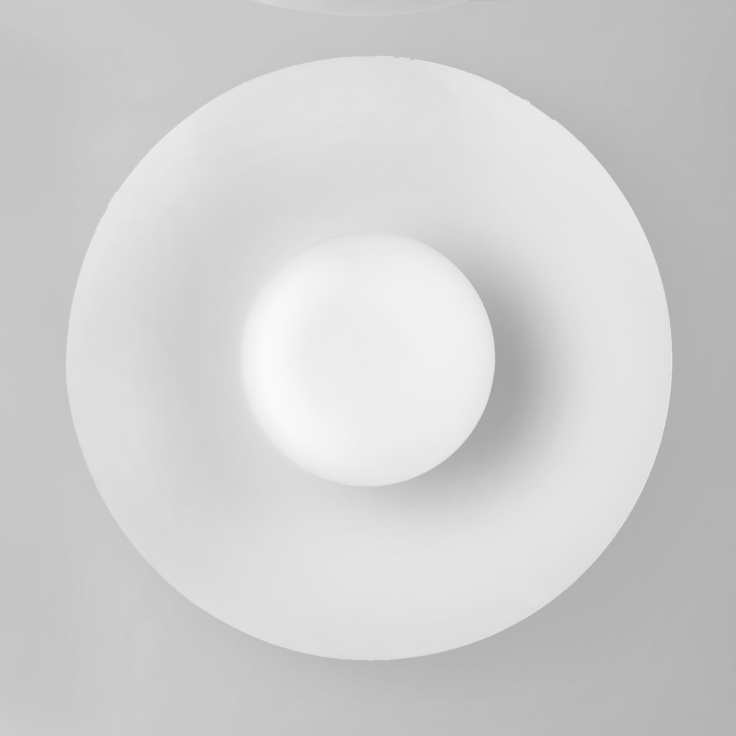 Matte White Opal Glass 1-Light Flush Mount Ceiling Light
